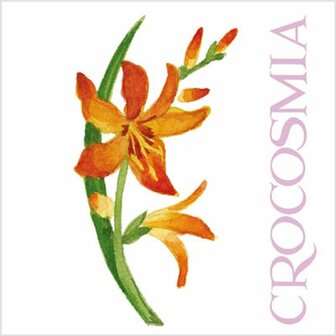 Kaart-Crocosmia